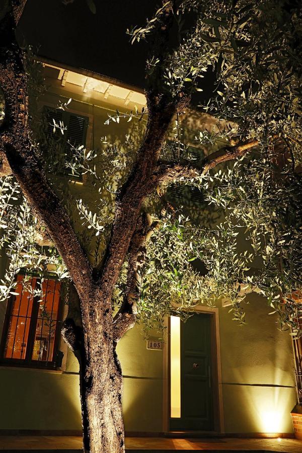 B&B Ulivo Gaio San Miniato Eksteriør billede