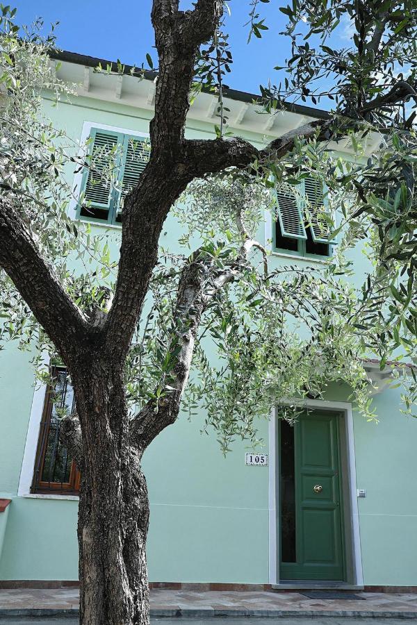 B&B Ulivo Gaio San Miniato Eksteriør billede